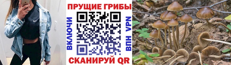 нарко площадка формула  Афипский  Галлюциногенные грибы GOLDEN TEACHER  цены  